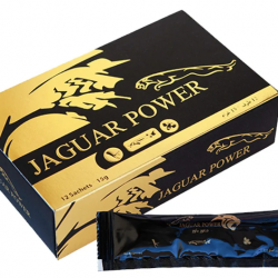 jaguar power