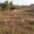 URGENT : TERRAIN 300M2 A VENDRE MALIKOUNDA - Image 1